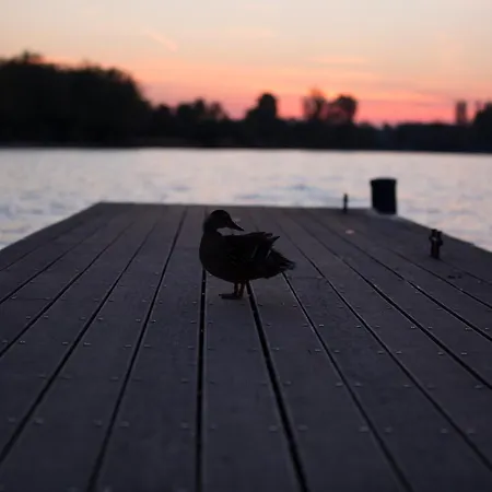 Katalin Haz Balatonfüred