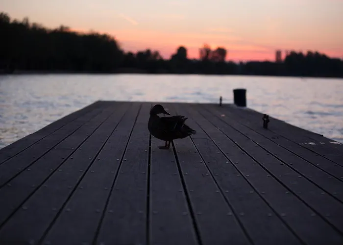 Katalin Haz バラトンフレド