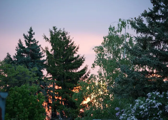 別荘 Katalin Haz *